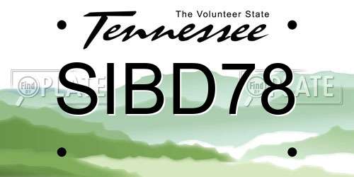SIBD78 Tennessee License Plate