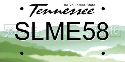 SLME58 Tennessee License Plate
