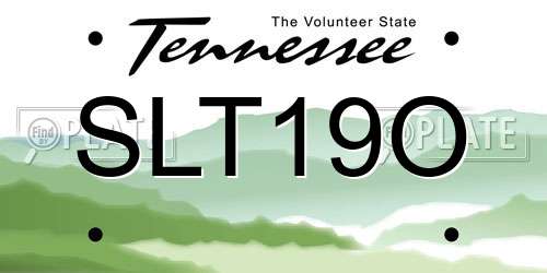 SLT19O Tennessee License Plate