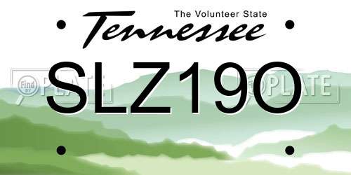 SLZ19O Tennessee License Plate