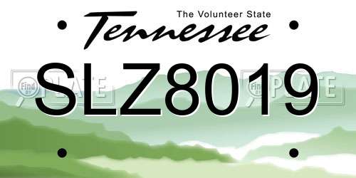 SLZ8019 Tennessee License Plate