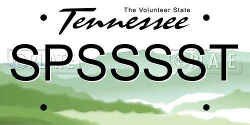 SPSSSST Tennessee License Plate