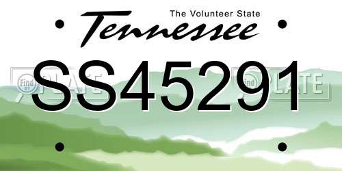 SS45291 Tennessee License Plate