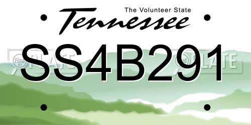 SS4B291 Tennessee License Plate