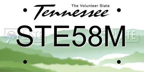 STE58M Tennessee License Plate