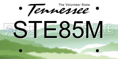 STE85M Tennessee License Plate
