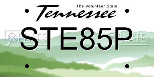 STE85P Tennessee License Plate