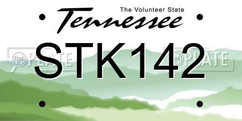 STK142 Tennessee License Plate
