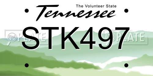 STK497 Tennessee License Plate