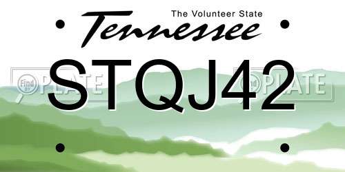 STQJ42 Tennessee License Plate