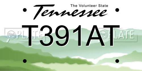 T391AT Tennessee License Plate