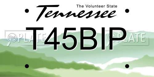 T45BIP Tennessee License Plate