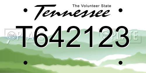 T642123 Tennessee License Plate