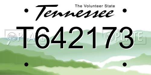 T642173 Tennessee License Plate