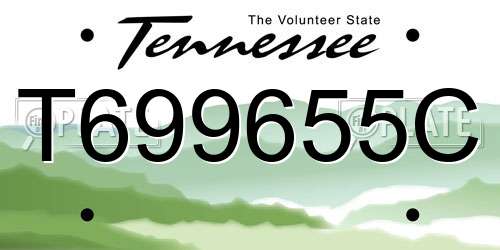 T699655C Tennessee License Plate