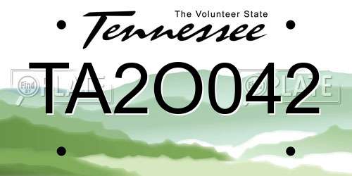 TA2O042 Tennessee License Plate