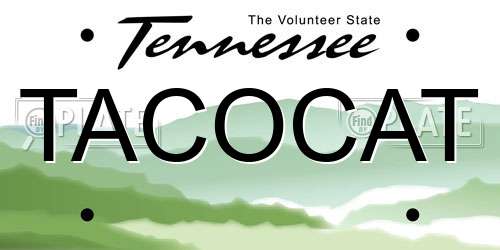 TACOCAT Tennessee License Plate
