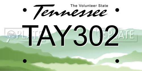 TAY302 Tennessee License Plate