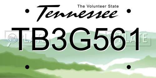 TB3G561 Tennessee License Plate