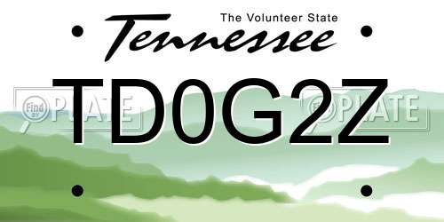 TD0G2Z Tennessee License Plate