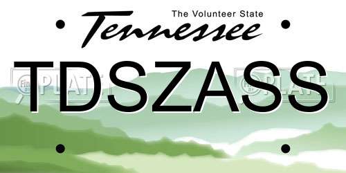 TDSZASS Tennessee License Plate