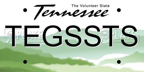TEGSSTS Tennessee License Plate