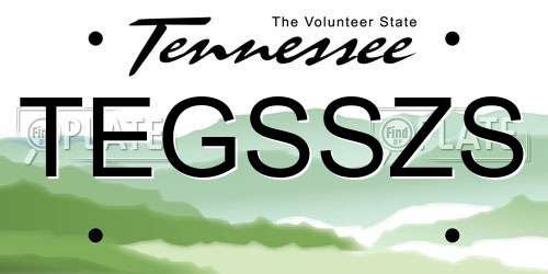 TEGSSZS Tennessee License Plate