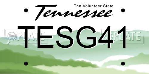TESG41 Tennessee License Plate