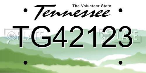 TG42123 Tennessee License Plate