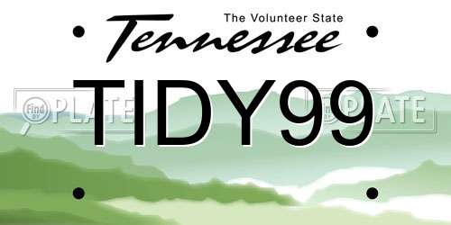 TIDY99 Tennessee License Plate