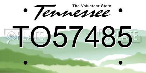 TO57485 Tennessee License Plate