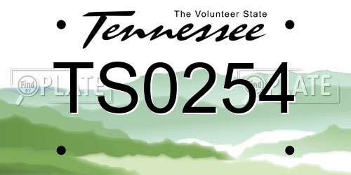 TS0254 Tennessee License Plate