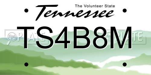 TS4B8M Tennessee License Plate