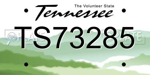 TS73285 Tennessee License Plate