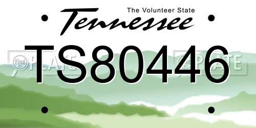 TS80446 Tennessee License Plate