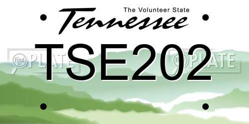 TSE202 Tennessee License Plate