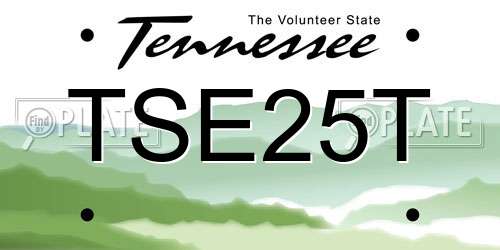 TSE25T Tennessee License Plate