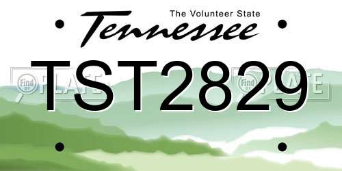 TST2829 Tennessee License Plate