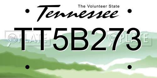 TT5B273 Tennessee License Plate