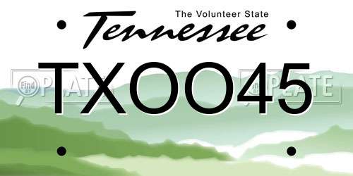TXOO45 Tennessee License Plate