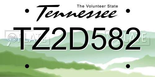 TZ2D582 Tennessee License Plate