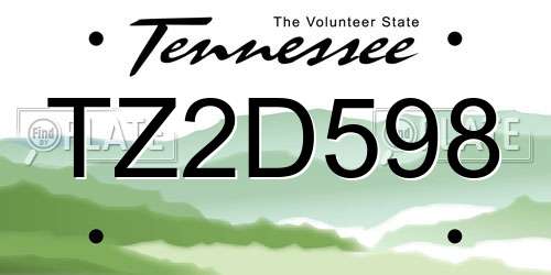 TZ2D598 Tennessee License Plate
