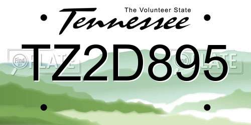 TZ2D895 Tennessee License Plate
