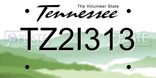 TZ2I313 Tennessee License Plate