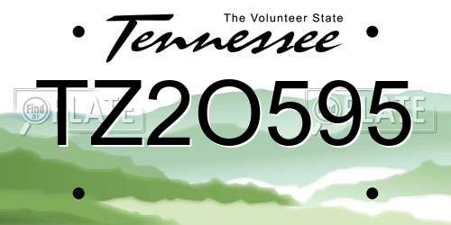 TZ2O595 Tennessee License Plate