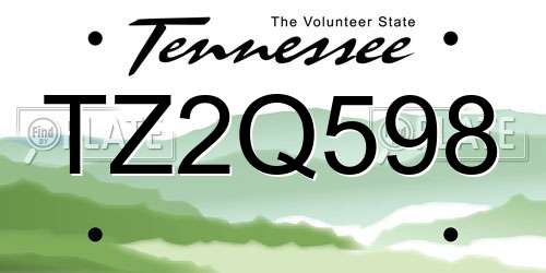 TZ2Q598 Tennessee License Plate