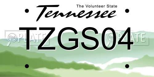 TZGS04 Tennessee License Plate