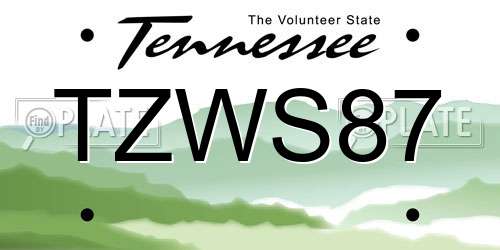 TZWS87 Tennessee License Plate