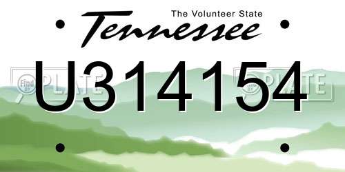 U314154 Tennessee License Plate