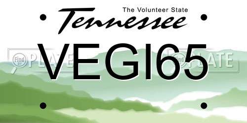 VEGI65 Tennessee License Plate